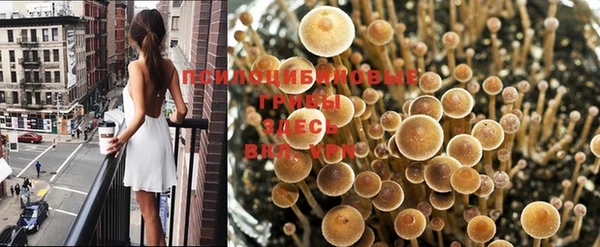 МДПВ Белоозёрский