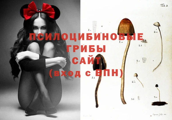 МДПВ Белоозёрский
