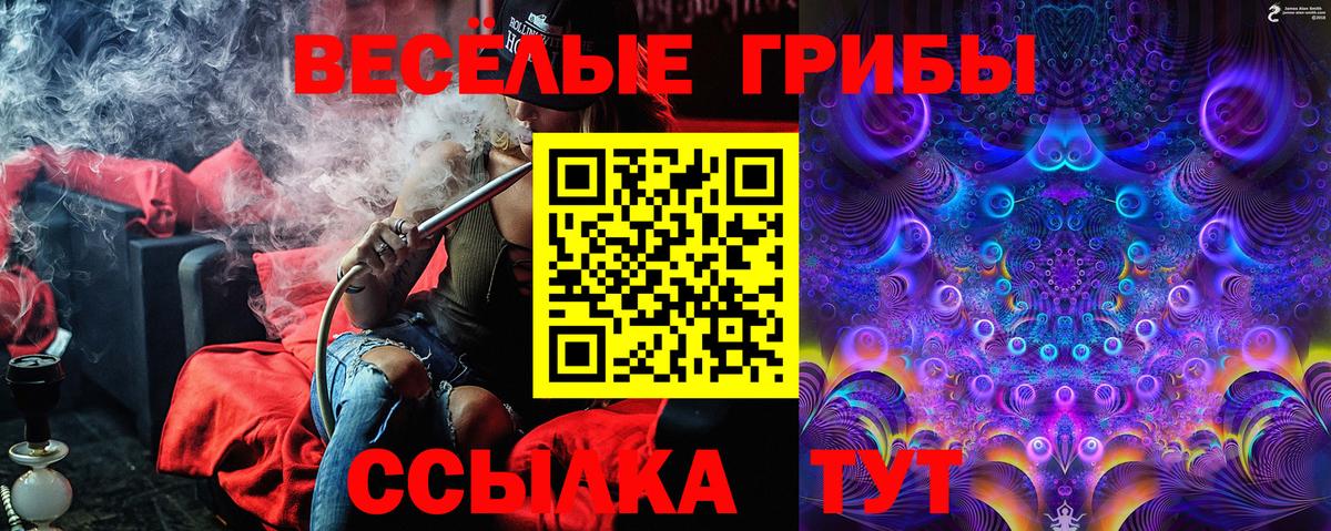 Псилоцибиновые грибы ЛСД Малоярославец