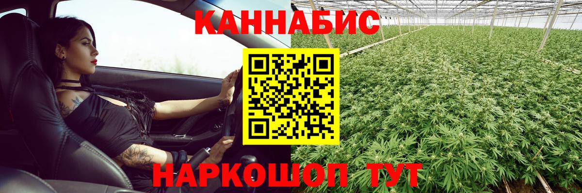 Конопля гибрид  Вход с VPN  Бошки Шишки White Widow  Малоярославец 